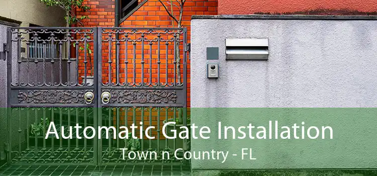 Automatic Gate Installation Town n Country - FL