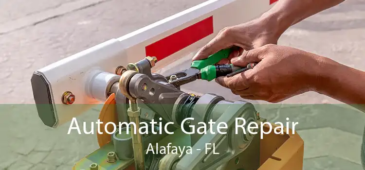 Automatic Gate Repair Alafaya - FL