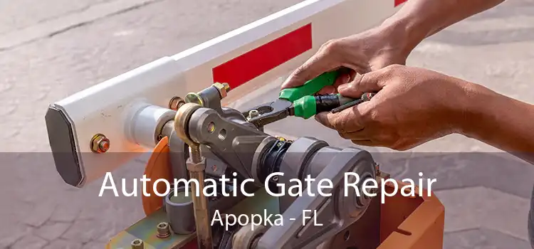 Automatic Gate Repair Apopka - FL