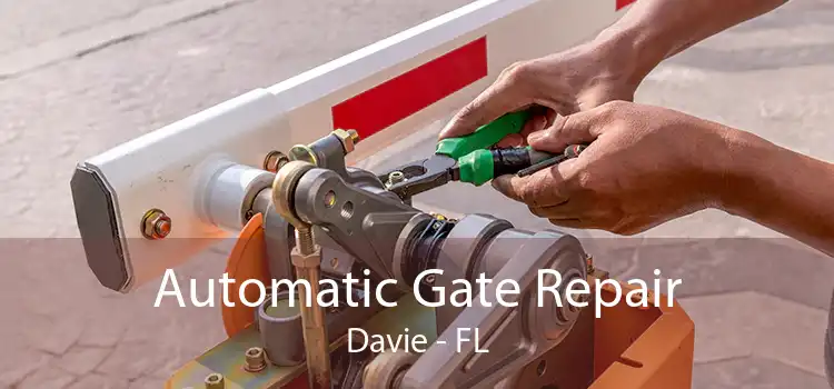 Automatic Gate Repair Davie - FL