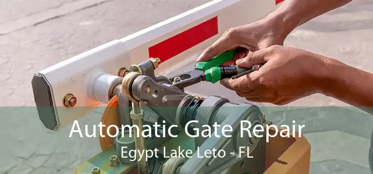 Automatic Gate Repair Egypt Lake Leto - FL