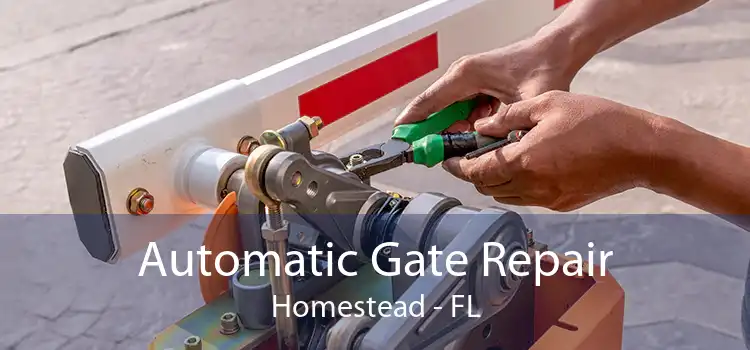 Automatic Gate Repair Homestead - FL