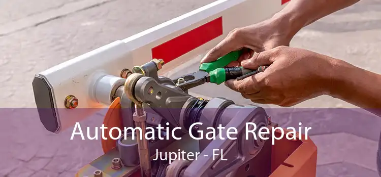 Automatic Gate Repair Jupiter - FL