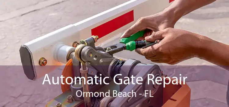 Automatic Gate Repair Ormond Beach - FL