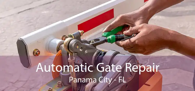 Automatic Gate Repair Panama City - FL