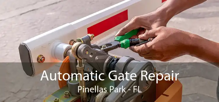 Automatic Gate Repair Pinellas Park - FL