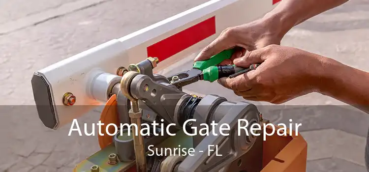 Automatic Gate Repair Sunrise - FL