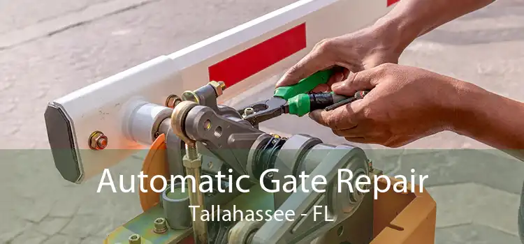 Automatic Gate Repair Tallahassee - FL