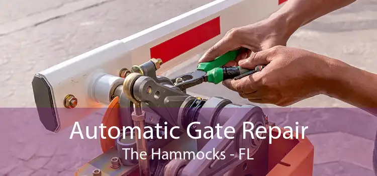 Automatic Gate Repair The Hammocks - FL