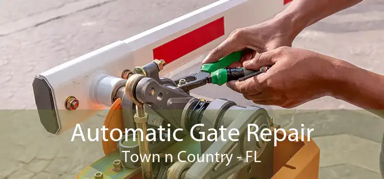 Automatic Gate Repair Town n Country - FL