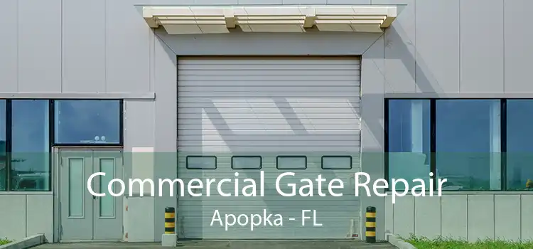 Commercial Gate Repair Apopka - FL