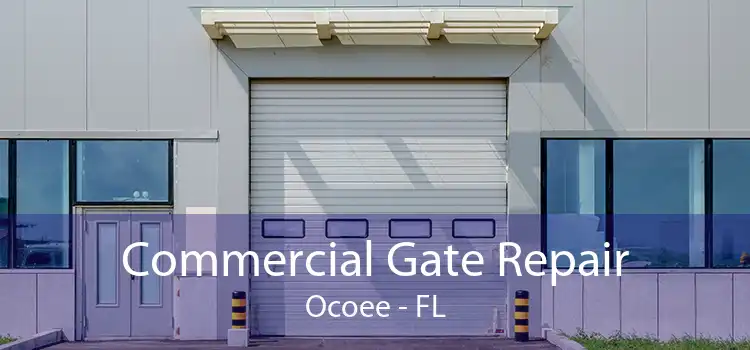 Commercial Gate Repair Ocoee - FL