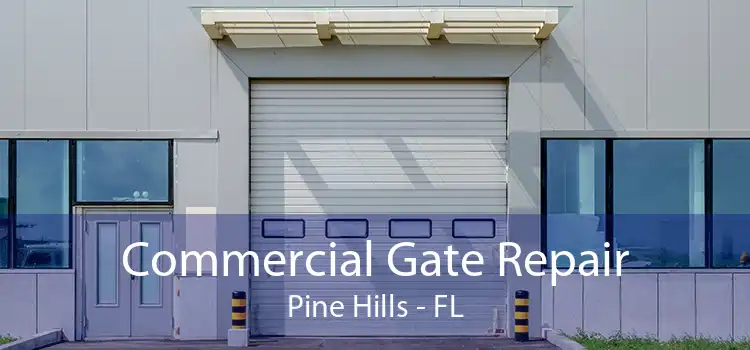 Commercial Gate Repair Pine Hills - FL