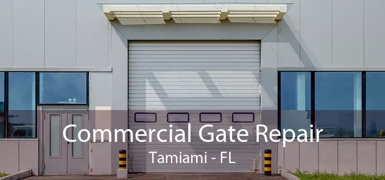 Commercial Gate Repair Tamiami - FL