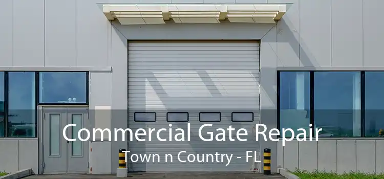 Commercial Gate Repair Town n Country - FL