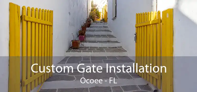 Custom Gate Installation Ocoee - FL