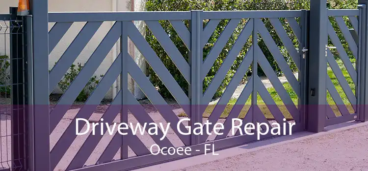 Driveway Gate Repair Ocoee - FL