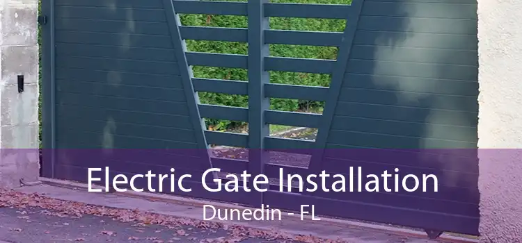 Electric Gate Installation Dunedin - FL