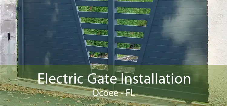 Electric Gate Installation Ocoee - FL