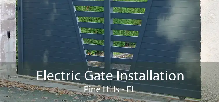 Electric Gate Installation Pine Hills - FL