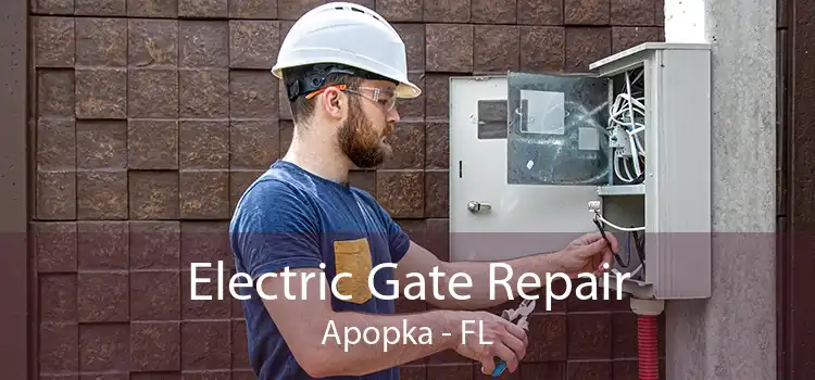 Electric Gate Repair Apopka - FL