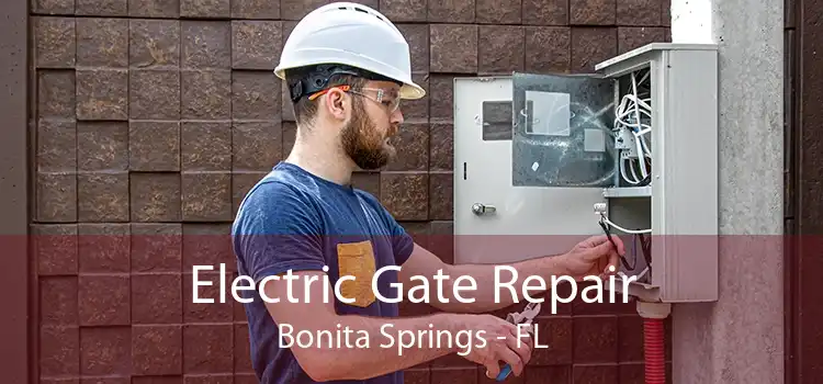 Electric Gate Repair Bonita Springs - FL