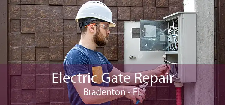 Electric Gate Repair Bradenton - FL