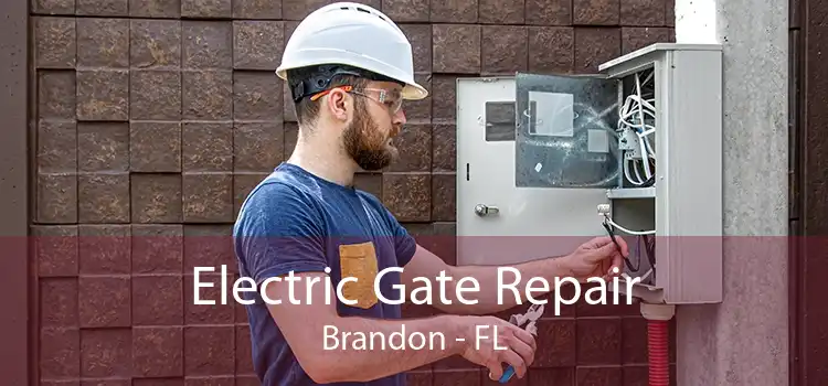 Electric Gate Repair Brandon - FL