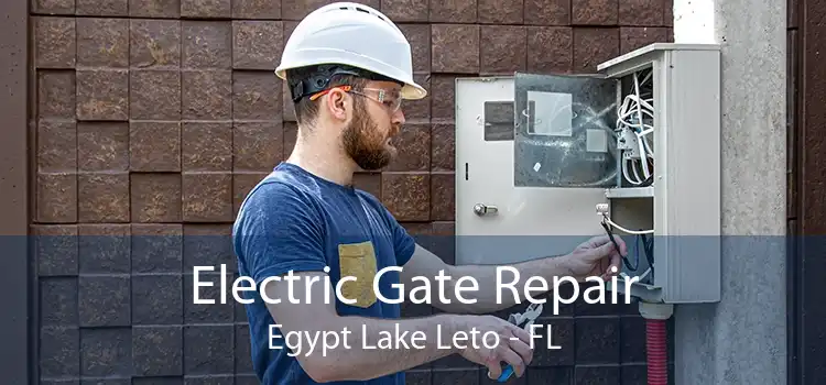 Electric Gate Repair Egypt Lake Leto - FL