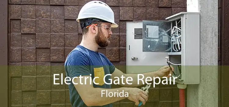 Electric Gate Repair Florida