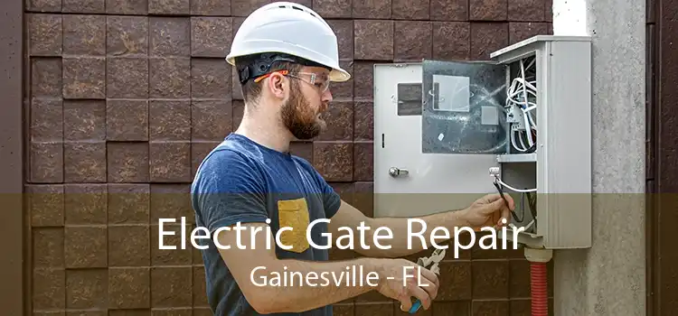 Electric Gate Repair Gainesville - FL