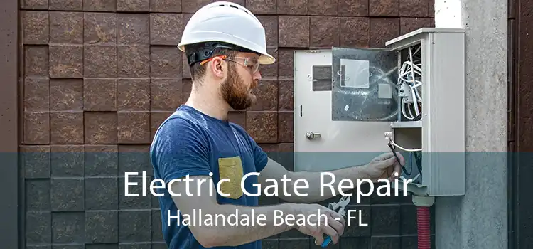 Electric Gate Repair Hallandale Beach - FL