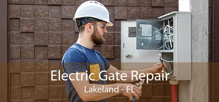 Electric Gate Repair Lakeland - FL