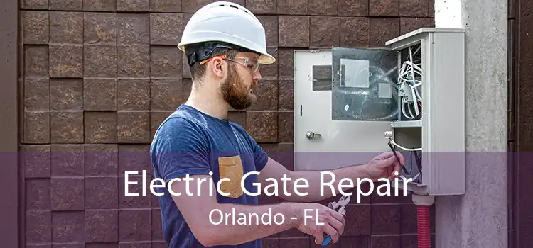 Electric Gate Repair Orlando - FL