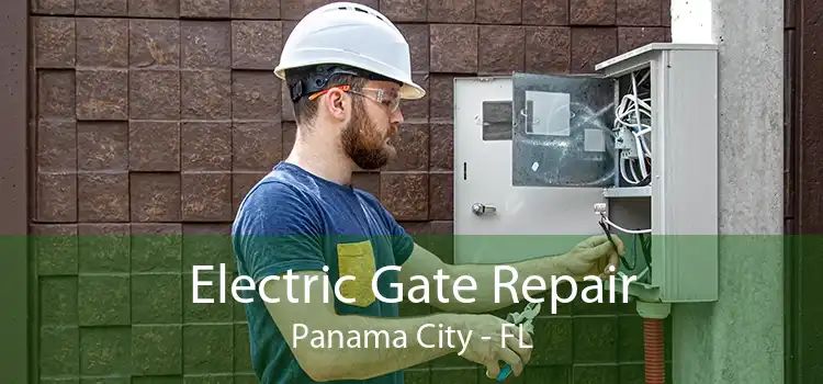 Electric Gate Repair Panama City - FL