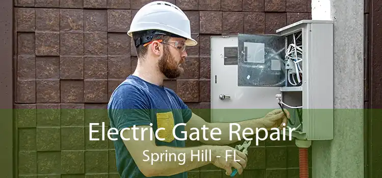 Electric Gate Repair Spring Hill - FL