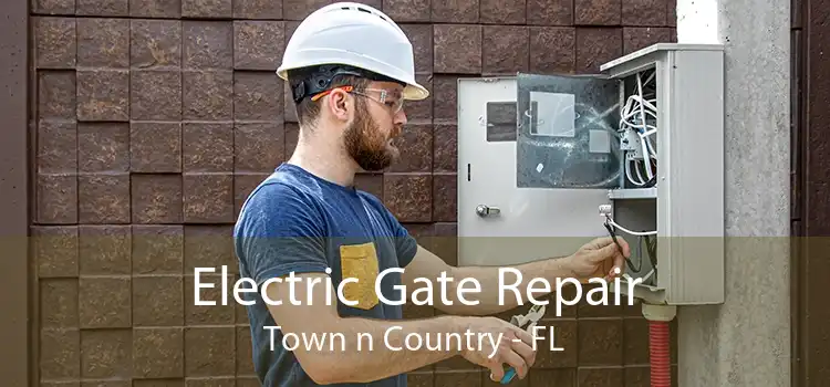 Electric Gate Repair Town n Country - FL