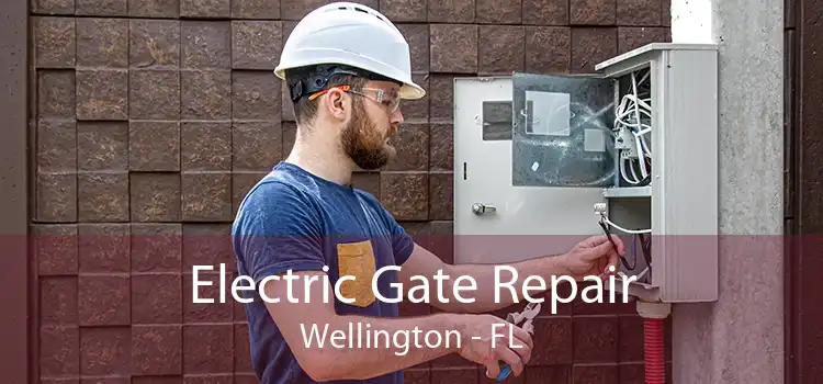 Electric Gate Repair Wellington - FL