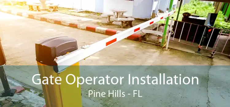 Gate Operator Installation Pine Hills - FL