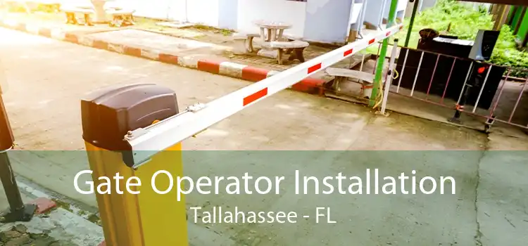 Gate Operator Installation Tallahassee - FL