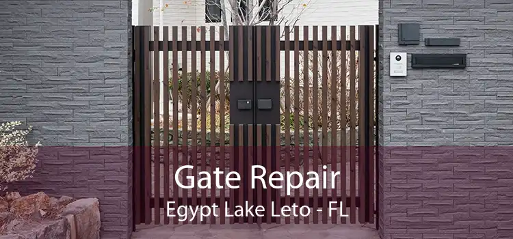 Gate Repair Egypt Lake Leto - FL