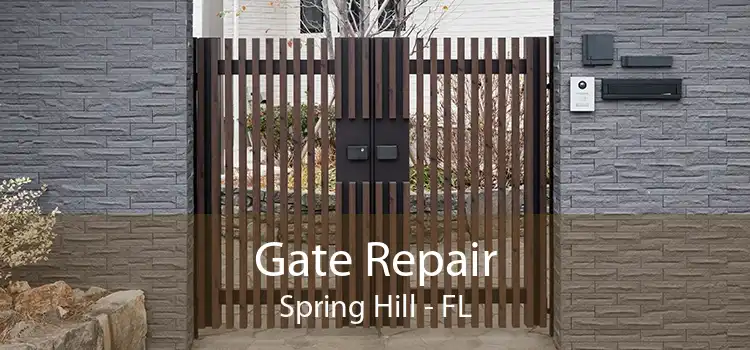 Gate Repair Spring Hill - FL